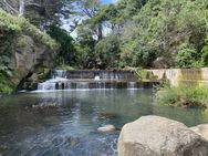 Fish Passage Remediation Project • Living Water