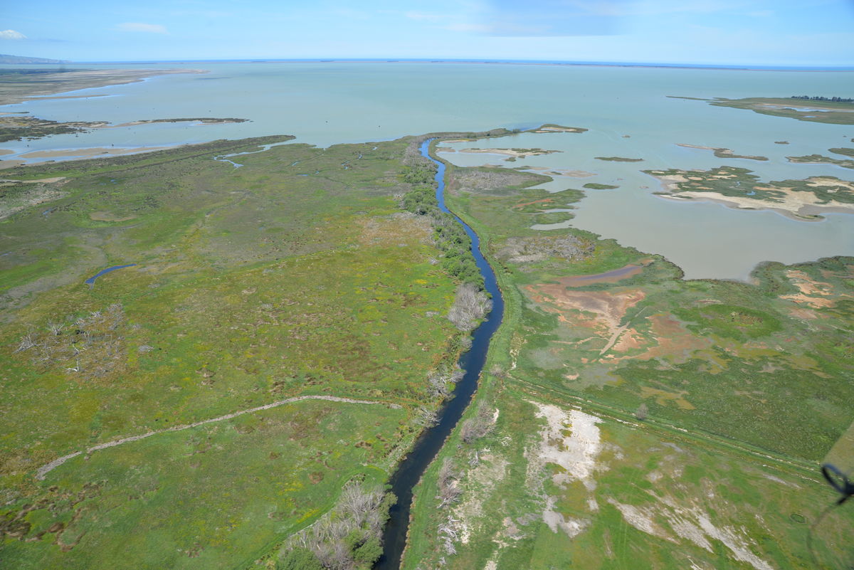 The LII flowing into Te Waihora