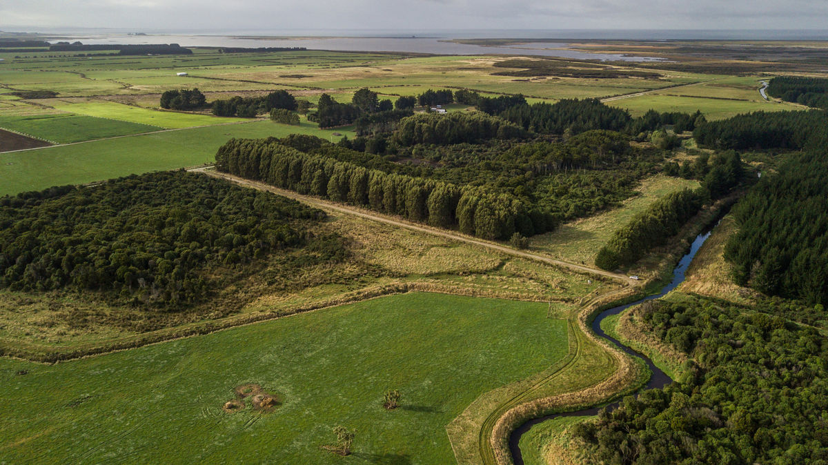 Waituna Creek drone image