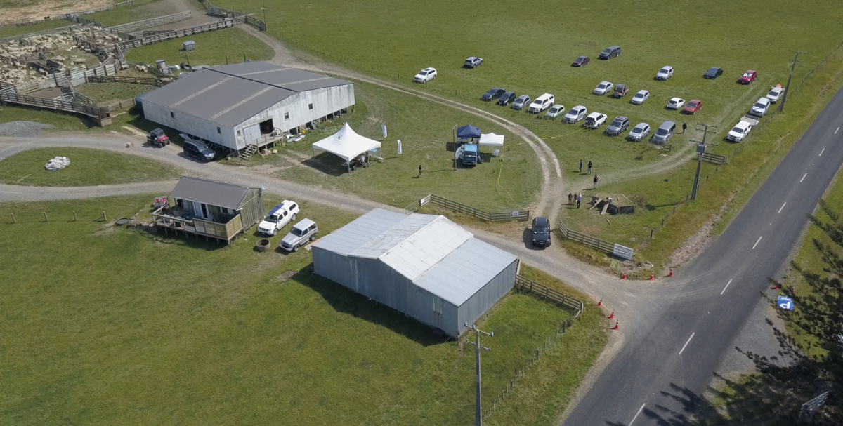 Pukorokoro-Miranda Pest control workshop